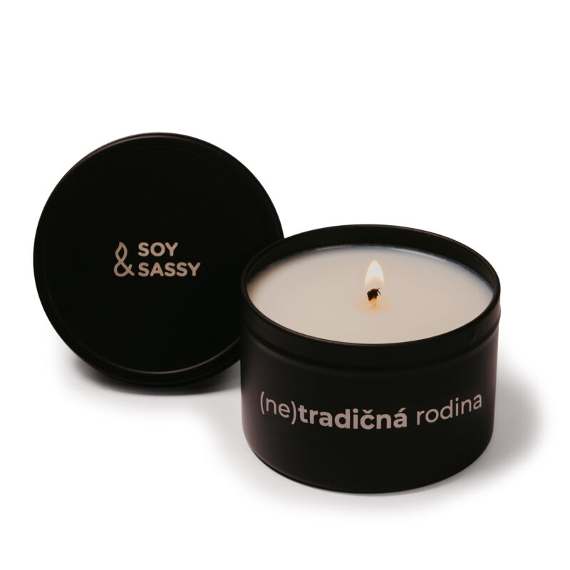 (ne)tradičná rodina